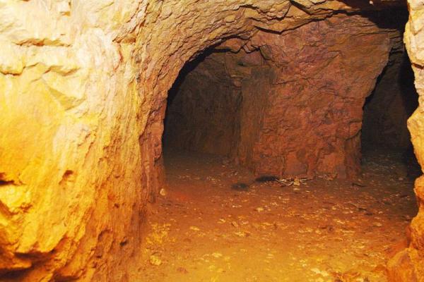 07c5acf54de491130c0699a014e67536