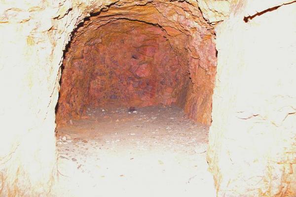 ecce98f132d6511621ef762fa4d6c951